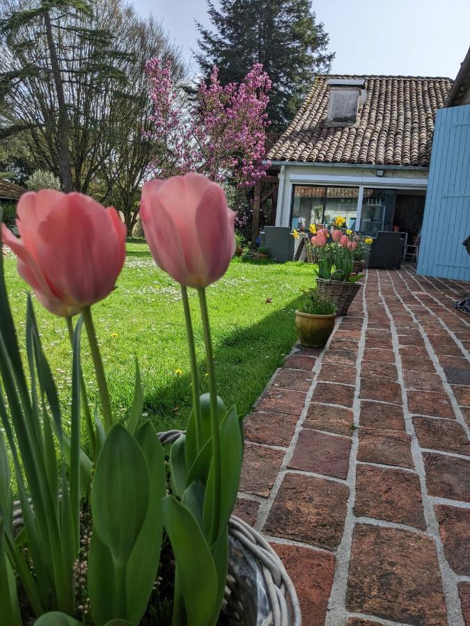 Domaine Du Tafiart Bed & Breakfast Sarron ภายนอก รูปภาพ