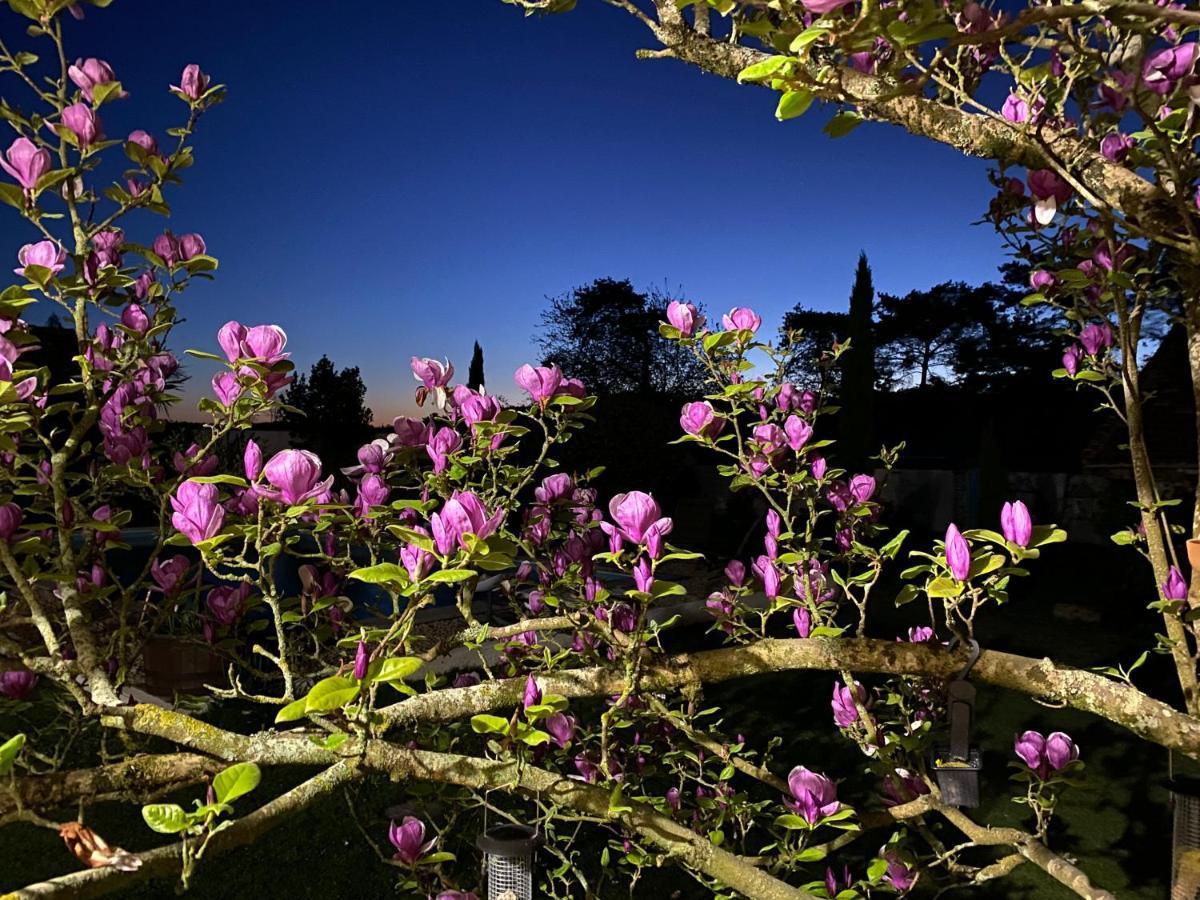 Domaine Du Tafiart Bed & Breakfast Sarron ภายนอก รูปภาพ